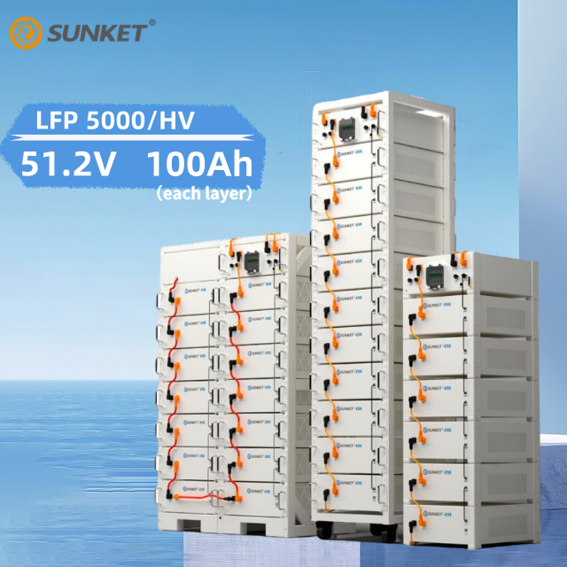 بطارية ليثيوم حديد فوسفات LiFe - مراجعة Lifepo4 Battery Pack وسعره